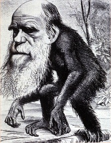 Charles Darwin as monkey